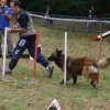 foire-haricots 2011-09-17et18